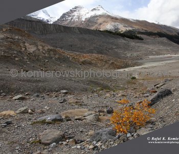 Athabasca Glacier is part of the Columbia Icefield, Jasper National Park, Alberta, Canada