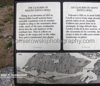 Edith Cavell information.....