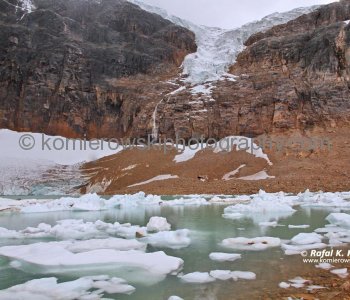 Angel Glacier above Cavell Pond