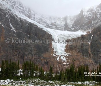 Angel Glacier above Cavell Pond seen from the Cavell Meadows Trail