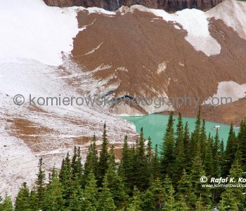 Cavell Pond seen from the Cavell Meadows Trail