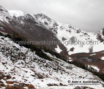 A view of a subalpine meadows at the end of the Cavell Meadows Trail