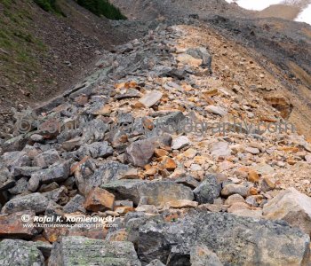 Close-up of a beautiful example of glacial lateral moraine - at  Mt.  Edit Cavell above Cavell Pond, Jasper National Park, Alberta