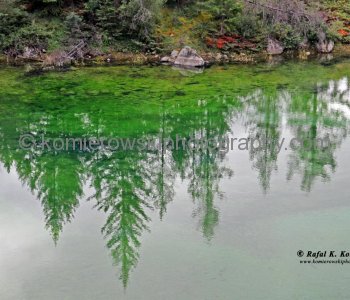 Valley of the Five Lakes, Jasper National Park, Alberta, Canada