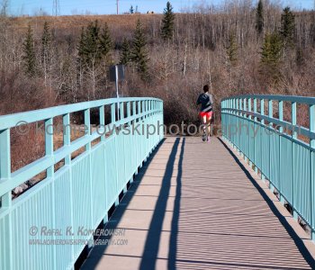Glenmore Park, Calgary March 12, 2015