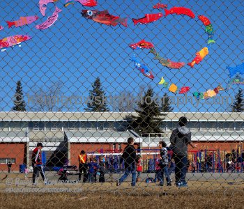 School near Glenmore Park, Calgary March 12, 2015