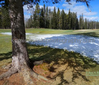 Last day of winter, March 19, 2015 . Priddis Greens Golf and Country Club,
