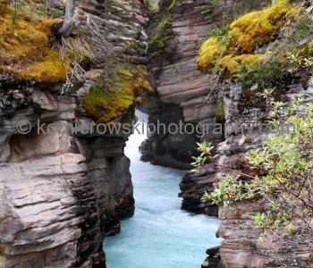 Athabasca Falls on Athabasca River,  Jasper National Park, Alberta, Canada