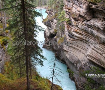 Athabasca Falls on Athabasca River,  Jasper National Park, Alberta, Canada