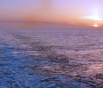 Trans Atlantic Crossing from Fort Lauderdale, FL. via Ponta Delgada, Azores to Cadiz, Spain.