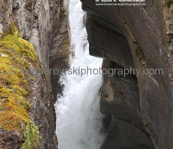 Maligne Canyon,   Jasper National Park, Alberta, Canada