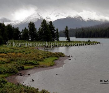 Maligne Lake,   Jasper National Park, Alberta, Canada