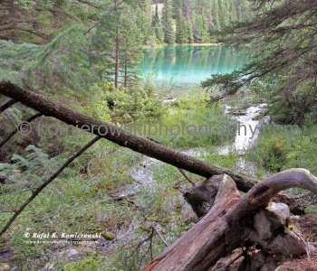 The Valley of Five Lakes, Jasper National Park, Alberta, Canada