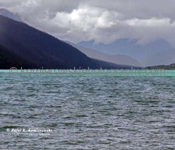Moose Lake along  Yellowhead highway near Moose Lake, British Columbia, Canada