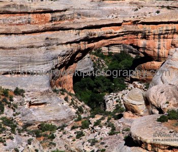 Natural Bridges National Monument, Utah, USA