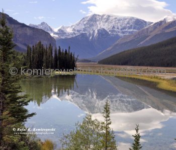 A pond on Athabasca River viewed from  Icefields Parkway near Sunwapta Falls,  Jasper National Park, Alberta, Canada