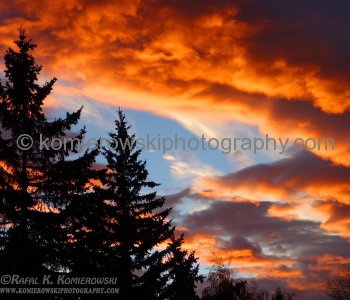 Autumn Colors in Calgary, Alberta, Canada