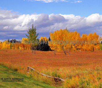 Glenmore Park near Oakridge,   Calgary, Alberta, Canada