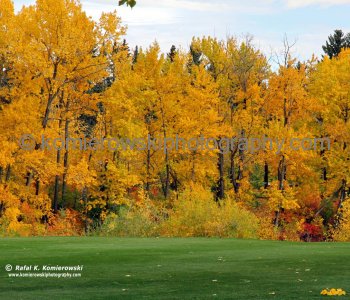 Calgary Golf  and Country  Club,   Calgary, Alberta, Canada