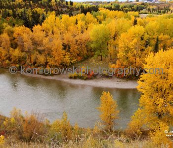 Elbow River  seen from Britania,  Calgary, Alberta, Canada