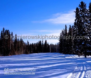 Cross country skiing at Priddis Greens Golf and Country Club, Alberta,  Canada