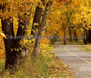 Stanley Park,  Calgary, Alberta, Canada