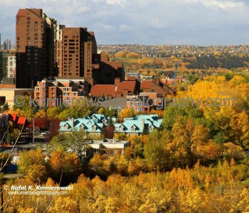 Calgary Under a Golden Autumn, Downtown- Eau Claire and Bow River