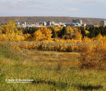 Calgary Under a Golden Autumn, University of Calgary and Foothills Hospital