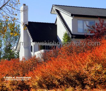 Calgary Under a Golden Autumn, Coach Hill