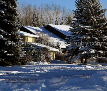 White Christmas in Calgary, Alberta, Canada