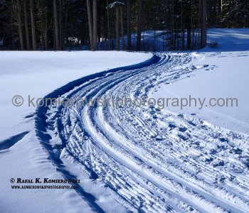 Cross Country Skiing at Priddis Greens, a Hidden Gem  Near Calgary in the Alberta Foothills