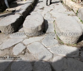 The raised blocks of igneous rock, like stepping stones, which would have enabled people to cross the road without stepping down into the water and mess.