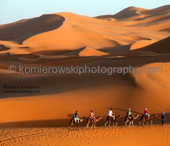 Sahara Desert, Erg Chebbi, Morocco Beautiful, giant, a rolling sea of huge sand dunes show incredible power of nature. Marvelous changing color as the light change, stunning scenery, a photographerâ€™s delight. Photos are COPYRIGHT and PROPERTY of Rafal K