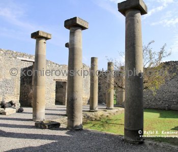The atrium is an inner courtyard open to the sky.
