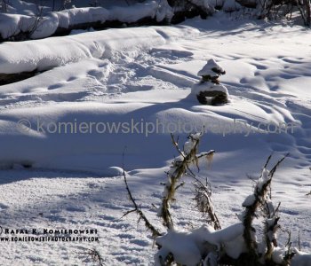 Sibbald Flats-Winter Hike in Kananaskis Country, Alberta, Canada
