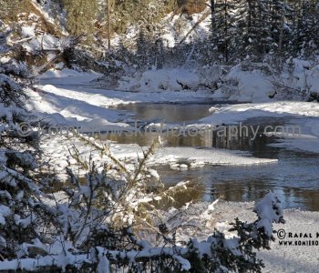 Sibbald Flats
