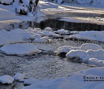 Sibbald Flats