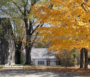 Vermont Fall Foliage, (New England) Vermont, USA