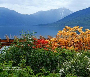 Nakusp, a Village in British Columbia, Canada