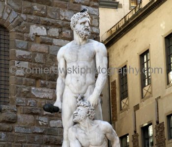 Statue of Heracles a.k.a. Hercules and Cacus by Baccio Bandinelli (1525–1534),  Florence