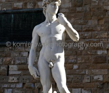 A copy of the statue standing in the original location of David, in front of the Palazzo Vecchio in Florence. Original was moved to the Accademia in 1873 to protect it from damage.