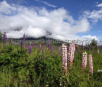 Burton, (West Kootenays), British Columbia