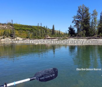 Exploring Weaselhead Flats in Calgary, Alberta