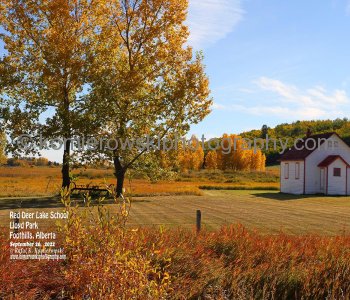 Autumn Glows Upon Us, Foothills, Alberta