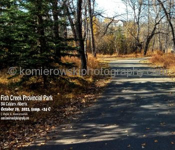 Cycling in Fish Creek Provincial Park, Calgary