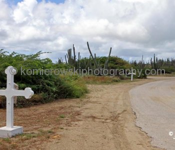 A long, winding road lined by cross markers representing the stations of the cross ....on the way to Chapel of Alta Vista
