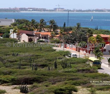 View from the California Lighthouse....