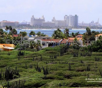 View from the California Lighthouse....Eagle and Palm beaches....