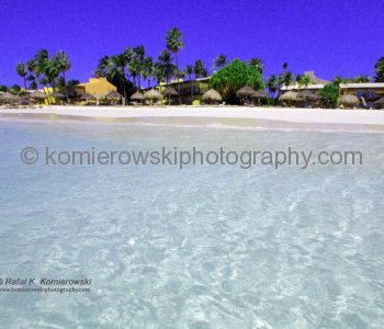 Divi Beach ....  Arubas famous beaches on the south and west coast of the island