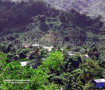 Because Grenada is covered in lush tropical vegetation and rainforests, the little island has to maintain a warm, balmy climate to sustain its precious foliage